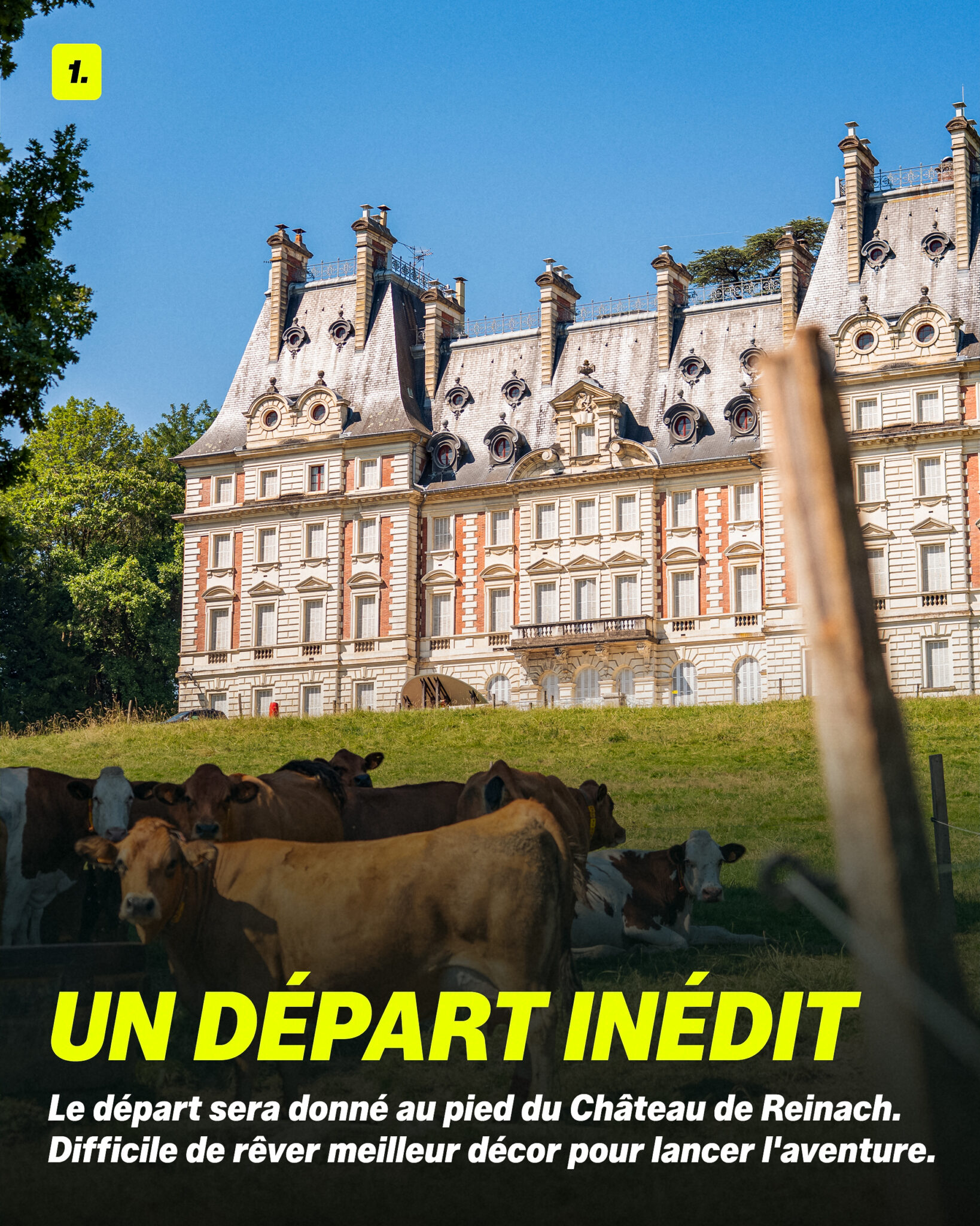 5-raisons-Trail-de-l'Épine_02